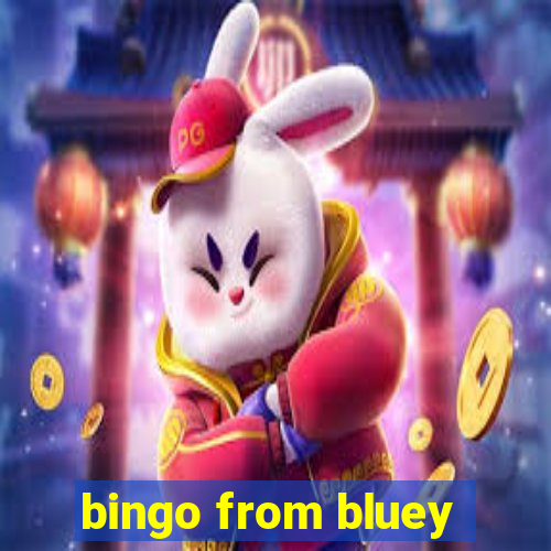 bingo from bluey