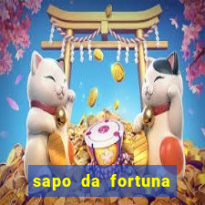 sapo da fortuna feng shui