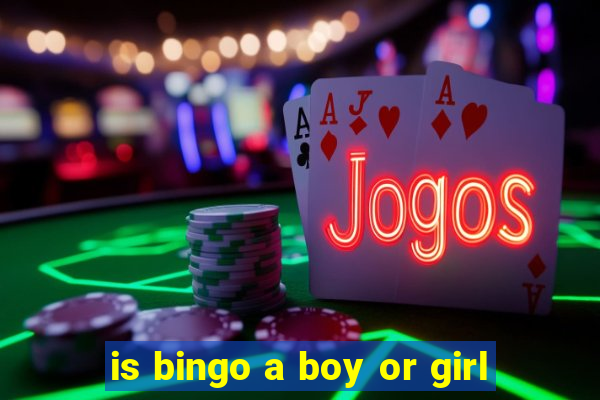 is bingo a boy or girl