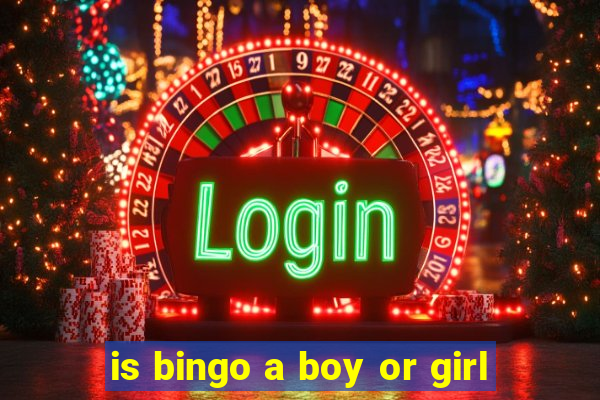 is bingo a boy or girl