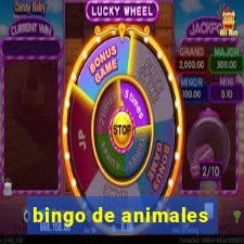 bingo de animales